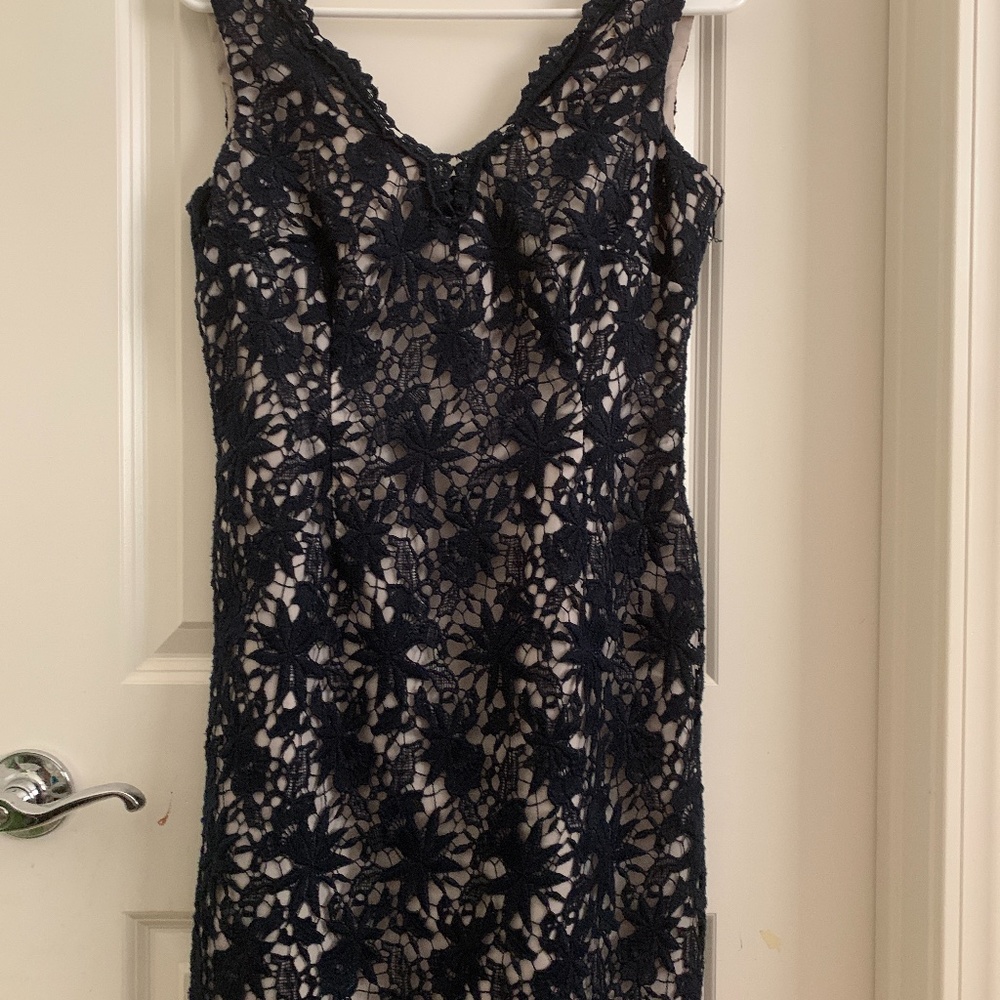 Ann Taylor Lace Dress